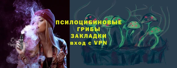 ECSTASY Алзамай