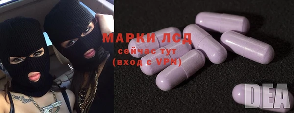 ECSTASY Алзамай