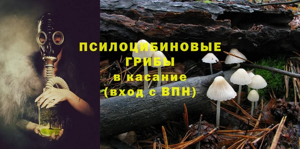 МДПВ Алексин