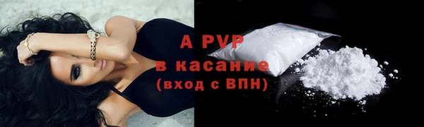 ECSTASY Алзамай