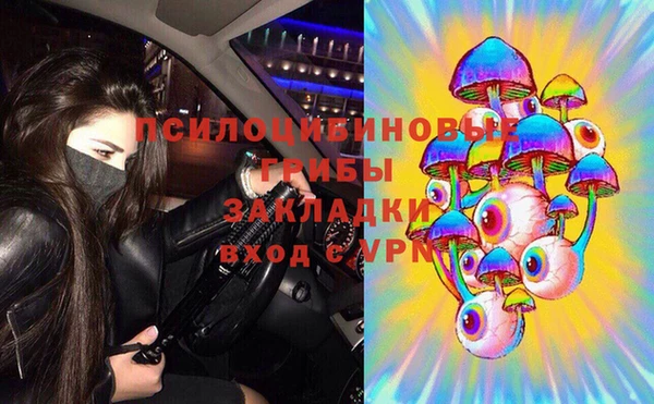 МДПВ Алексин