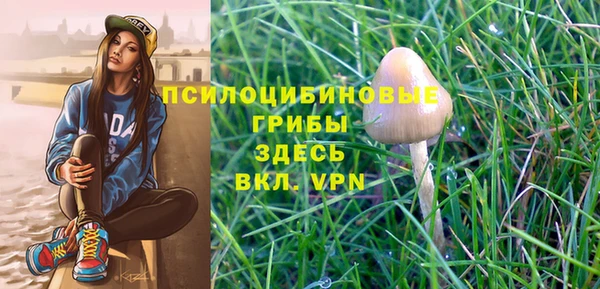 ECSTASY Алзамай